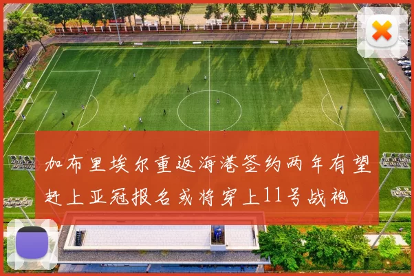 加布里埃尔重返海港签约两年有望赶上亚冠报名或将穿上11号战袍